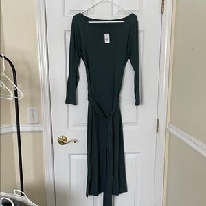 Ann Taylor Teal Long Sleeve Dress